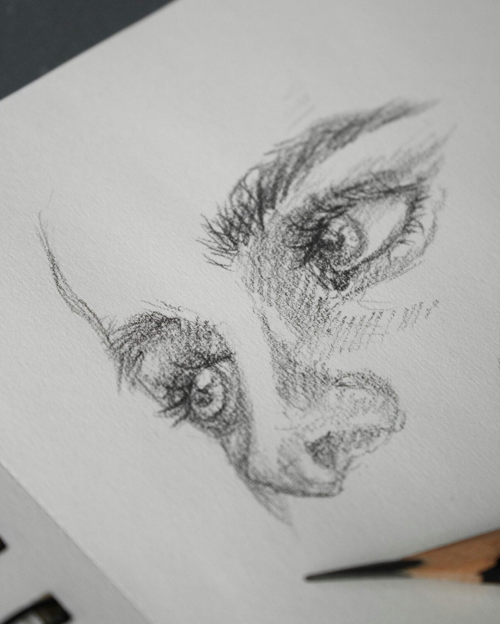 Intricate pencil sketch capturing expressive eyes and nose on paper.